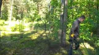 коп монет 2014 беларусь шкловский район