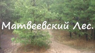 Пеший поход в Матвеевский лес. Николаев|Hiking in the forest Matveevsky. Nikolaev. 01. 2015
