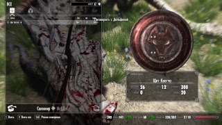 Skyrim Прохождения с модами на Легенде