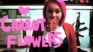 King of Carrot Flowers - Neutral Milk Hotel (cover)