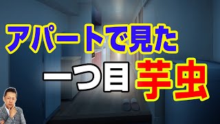 【お便り】美術の先生のアパートで見た１つ目の芋虫、毎晩枕元で運動会をする３人の小人　ATL3rd 201