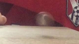 The NICKEL Flip???