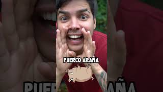 CASTIGO DE SPIDERMAN SI NO ADIVINAS LA PALABRA SECRETA !!