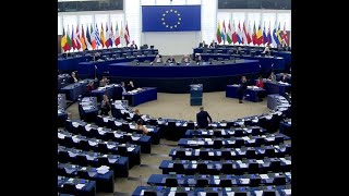 Европарламент – русофобский отстойник или трамплин для неудачников?