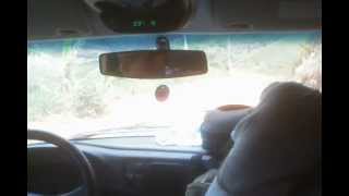 PIC 0063
