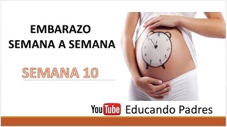 Semana 10 de embarazo | Embarazo semana a semana | Educando padres