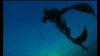 Spearfishing in Cyprus