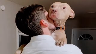 This three-legged dog narrowly escaped euthanasia. Now she's living her best life.