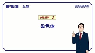 【高校生物】　生殖3　染色体（１７分）
