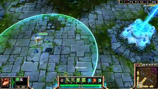 Deadfall Ward - Skin Spotlight League of Legends