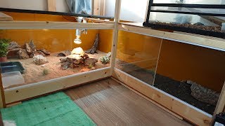 コリーマオオツノトカゲ  L字ケージテラリウム (Phrynosoma asio)（Giant horned lizard）