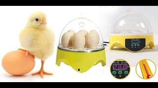 мини инкубатор решение проблемы.