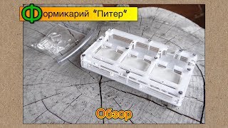 Формикарий ПИТЕР // Обзор