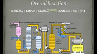 AMMONIA PRODUCTION avi