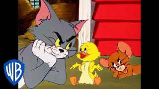 Tom y Jerry en Español | ¡Cuac, cuac, pequeño patito!