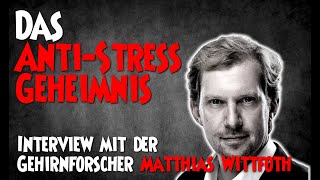 Das Anti Stress Geheimnis - Interview mit Gehirnforscher Matthias Wittfoth   Stresshacking