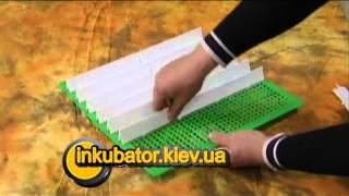 Электронный Цифровой Инкубатор Квочка МИ-30-1-Э