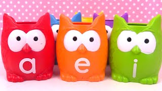 Apprendre les Voyelles Français Learn French Vowels with Owls