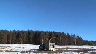 Training serpasto pigeons / Тренировка серпастых голубей