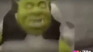 Like/КиСуЛьКа/Шэрэк