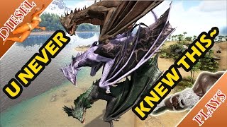 ART OF ARK - WYVERNS' DIFFERENCES WILL SURPRISE YOU!