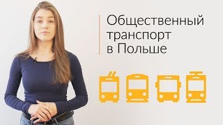 Общественный транспорт в Польше. 5 фактов, которые нужно знать.