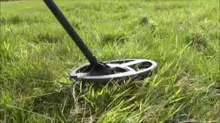 XP Deus Lite Field Test Part 1 ( Snake Buckle )