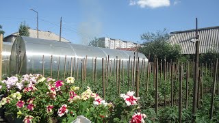 ГДЕ ЛУЧШЕ УСТАНОВИТЬ ТЕПЛИЦУ НА УЧАСТКЕ? 