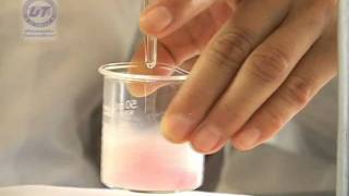 Elaboracion de Yogurt a partir de cepas microbianas
