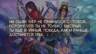 Заказать ролик коллаж из фото пример легенда о женщине фэнтези
