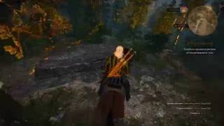 The Witcher 3/ Ведьмак 3 баг текстур (плотве плохо)
