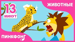 Гепард и другие песни | +Сборник | Песни про | Пинкфонг Песни для Детей