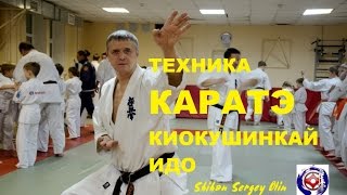Каратэ киокушинкай семинар по технике ИДО/Karate Kyokushin seminar on the technique of IDO