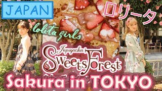 Japan Vlog #13 | Part 1: JIYUGAOKA Sweets Forest & Cherry Blossoms | Honey in JAPAN  | Spring 2018