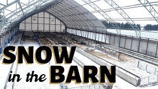 And then it snowed. (IN THE SHEEP BARN!): Vlog 184