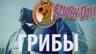 Пародия на (Грибы Тает Лёд)-Скуби ду