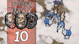 Прохождение Don't Starve Together (coop) #10 - Подозрительные животные