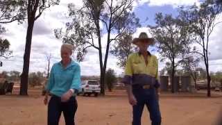 Meet the Smithfield Feedlot Family