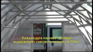 strelka_ispitanie_ludi