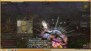 Lineage 2, Как быстро сделать квест: Десять дней приключений.