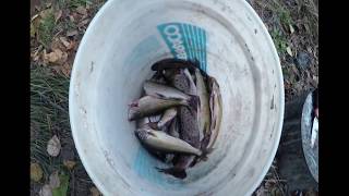 Рыбалка на реке Анюй сентябрь Fishing on the river Anyui September