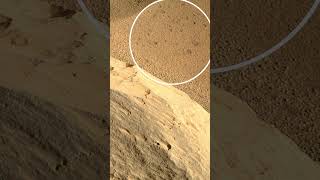 Mars Perseverance en Marte Sol 64 #shorts #mars #marte #space