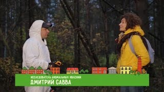Телеканал Поехали! Одноэтажная Россия. Муром. Первый выпуск