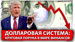 Долларовая система: Круговая порука в мире финансов 