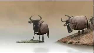 WhatsApp Videos::Very Very Funny Message Dont Miss It