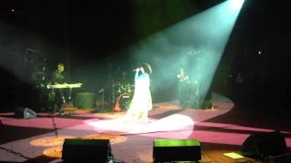 Наташа Королева - Желтые тюльпаны (г. Рязань, Цирк, 29.11.2013)