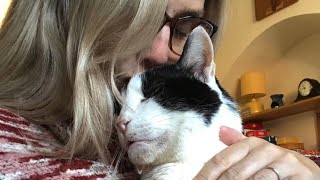 Cat is so loving with family that adopted him