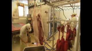 Schweineschlachten mit Musik