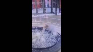 Girl Falls Into Fountain While Texting | FAIL | FUNNY | 2017
