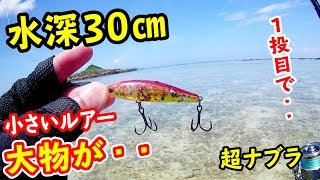ウェーディングで小物狙いだったのにまさかの・・
